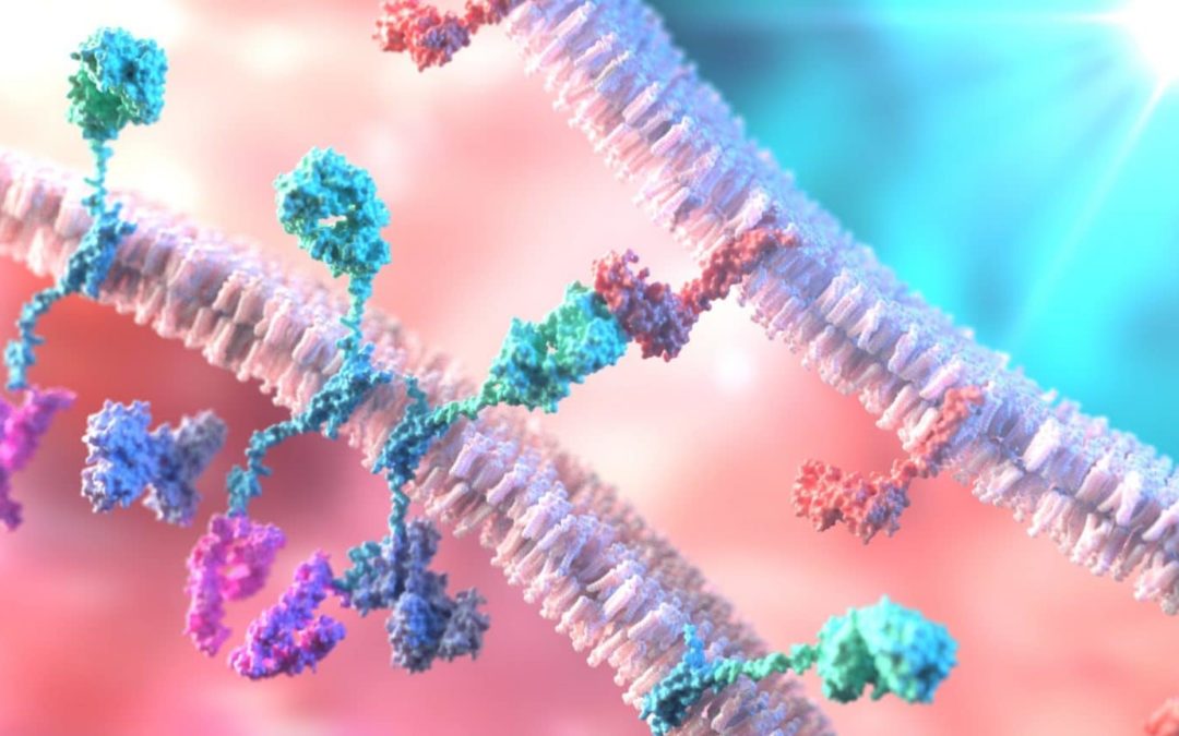 Metabolomics Immuno-Oncology Research