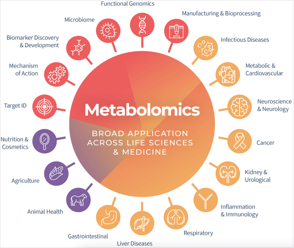 Your Guide To Metabolomics—the Importance Of Metabolomics Insights Metabolon