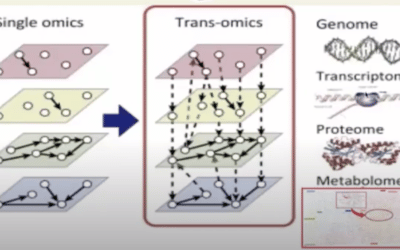 The Translational Utility of Metabolomics in the Integrative Omics Era