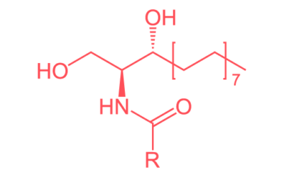 Dihydroceramide