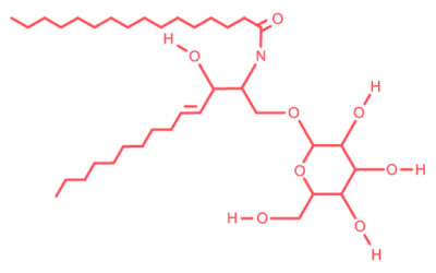 Hexosylceramide