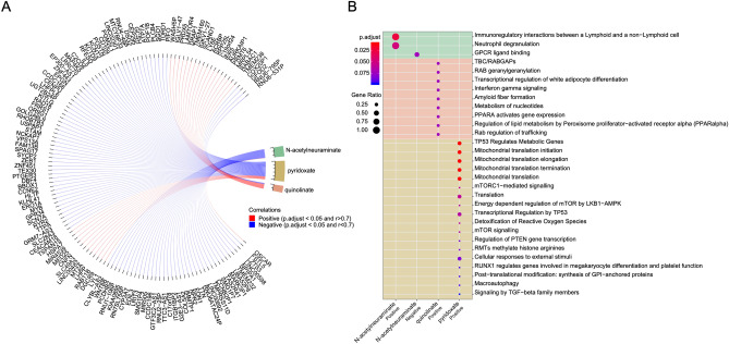 Integration of metabolomics and transcriptomics data reveals key associations between highlighted genes and N-acetylneuraminate, quinolinate, and pyridoxate.