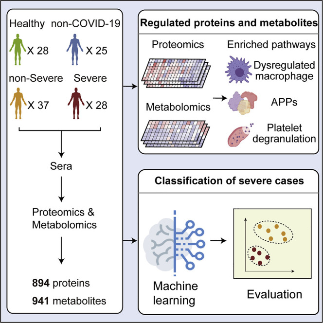 Proteomics and metabolomics analyses of sera from COVID-19 patients identified key protein and metabolite signatures that could predict disease severe when used in a training model.