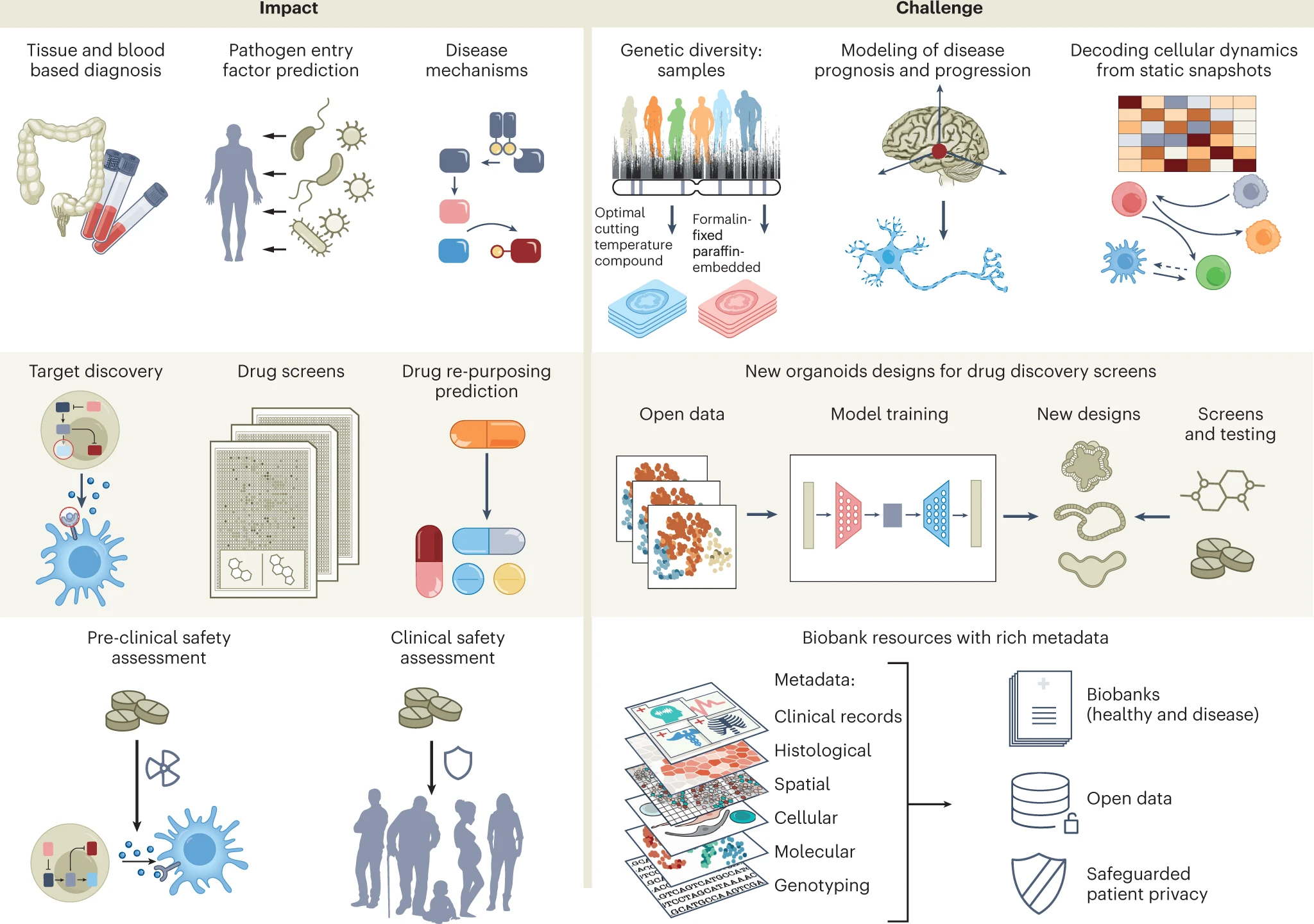 Multi-omics of gut microbiome-host interactions in short- and l